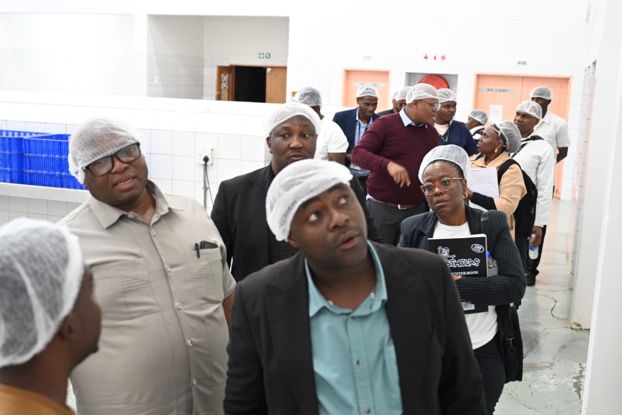 WhatsApp Image 2025-08-14 at 9.12.33 PM