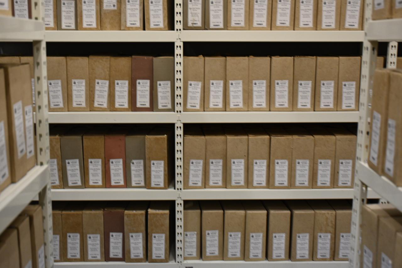 WhatsApp Image 2025-10-09 at 9.11.52 PM