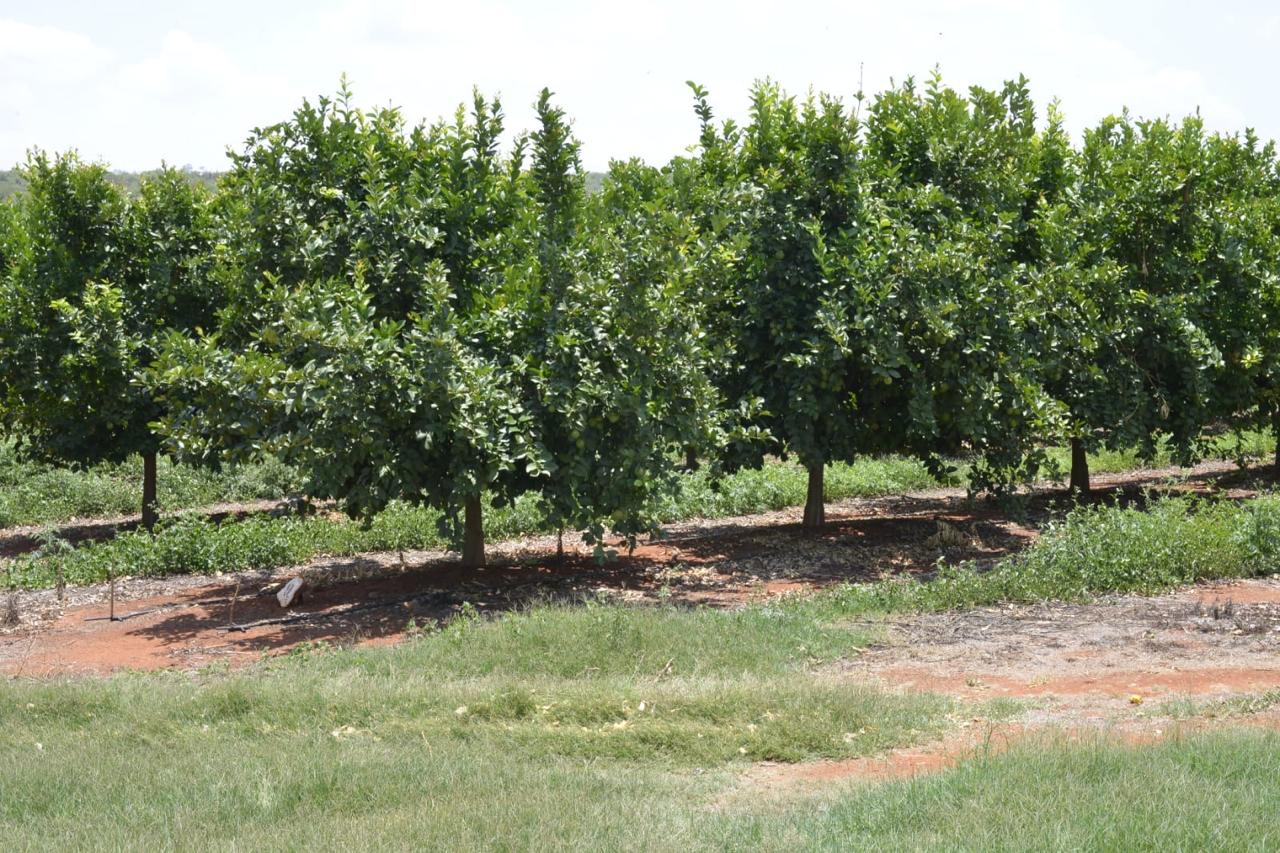 WhatsApp Image 2025-11-12 at 2.26.21 PM (4)