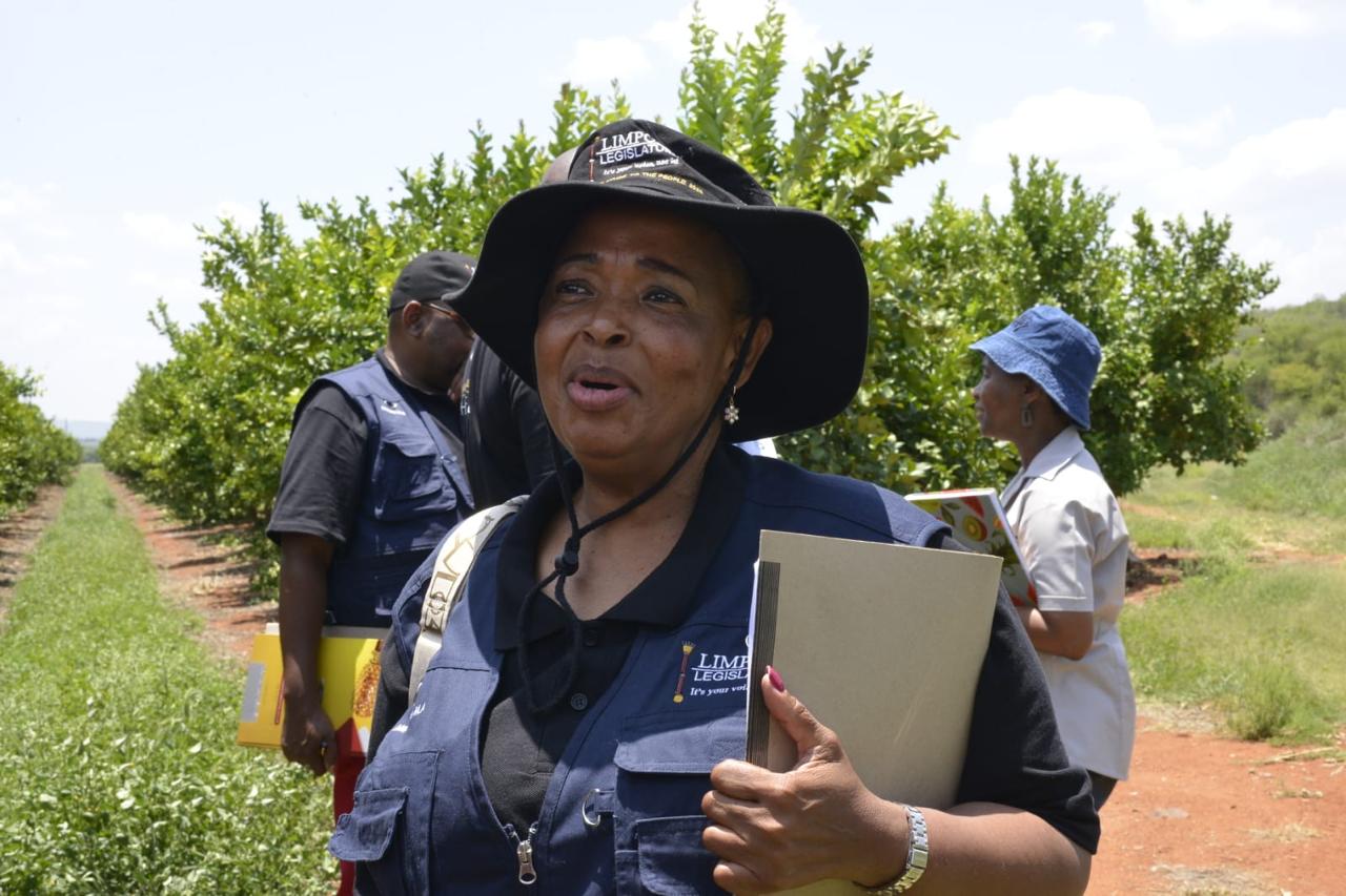 WhatsApp Image 2025-11-12 at 2.26.21 PM (7)