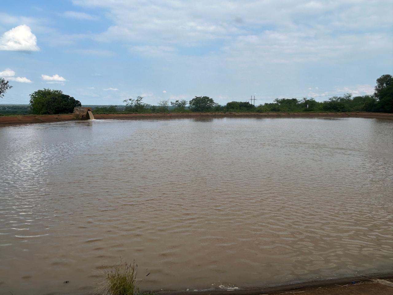 WhatsApp Image 2025-11-19 at 5.55.40 PM