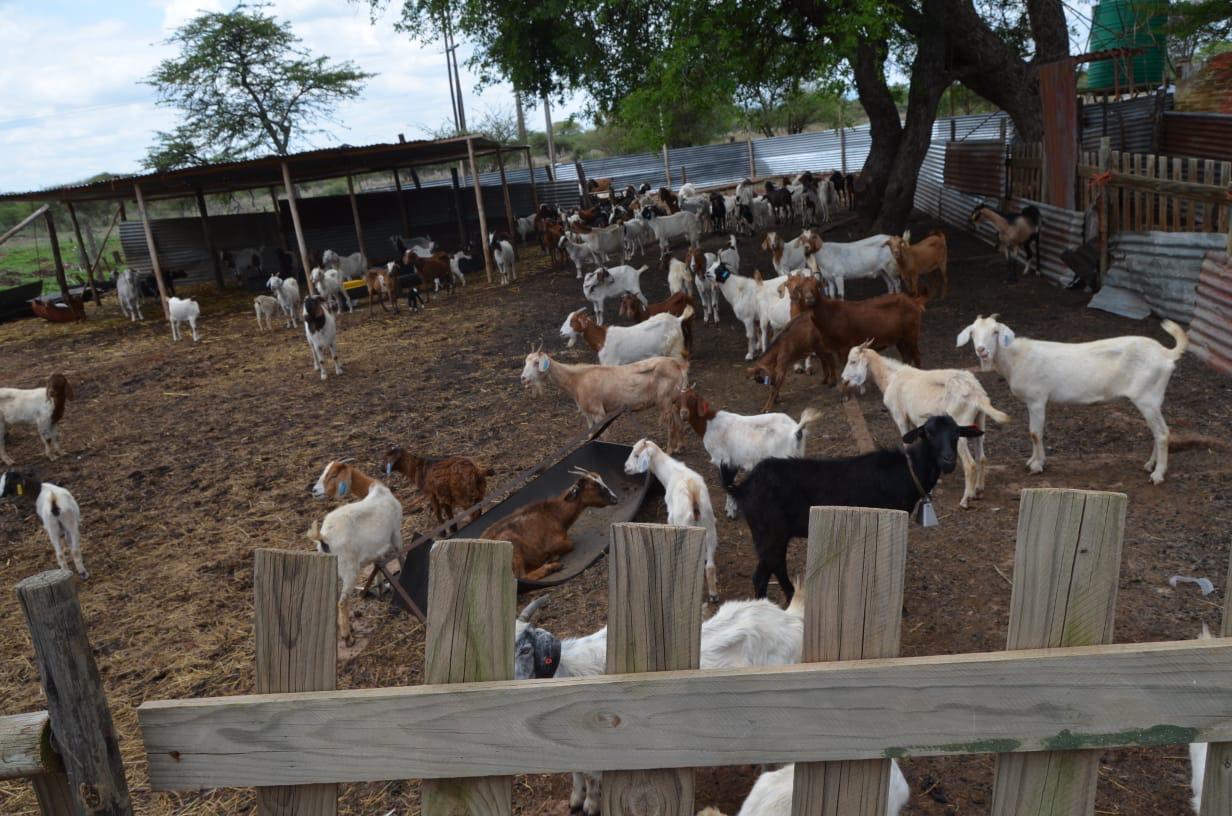 WhatsApp Image 2025-11-20 at 4.29.56 PM