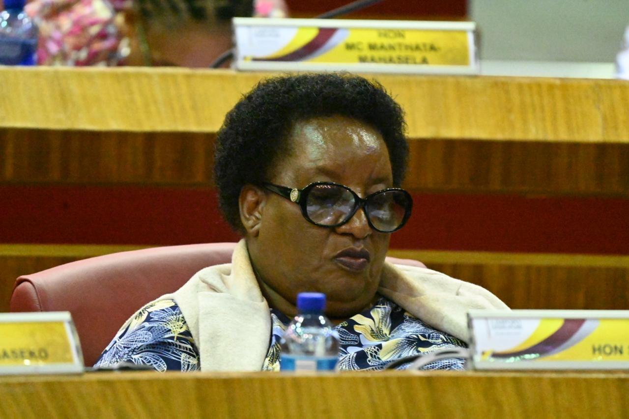 WhatsApp Image 2025-11-25 at 3.25.44 PM (1)