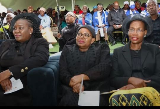 WhatsApp Image 2026-01-11 at 5.57.21 PM