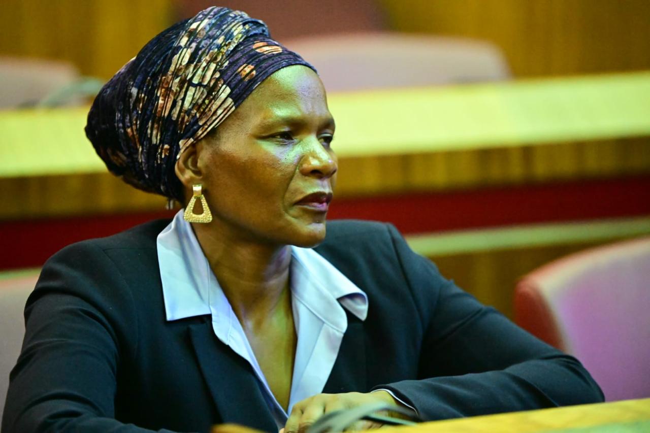 WhatsApp Image 2026-03-02 at 4.17.39 PM (1)