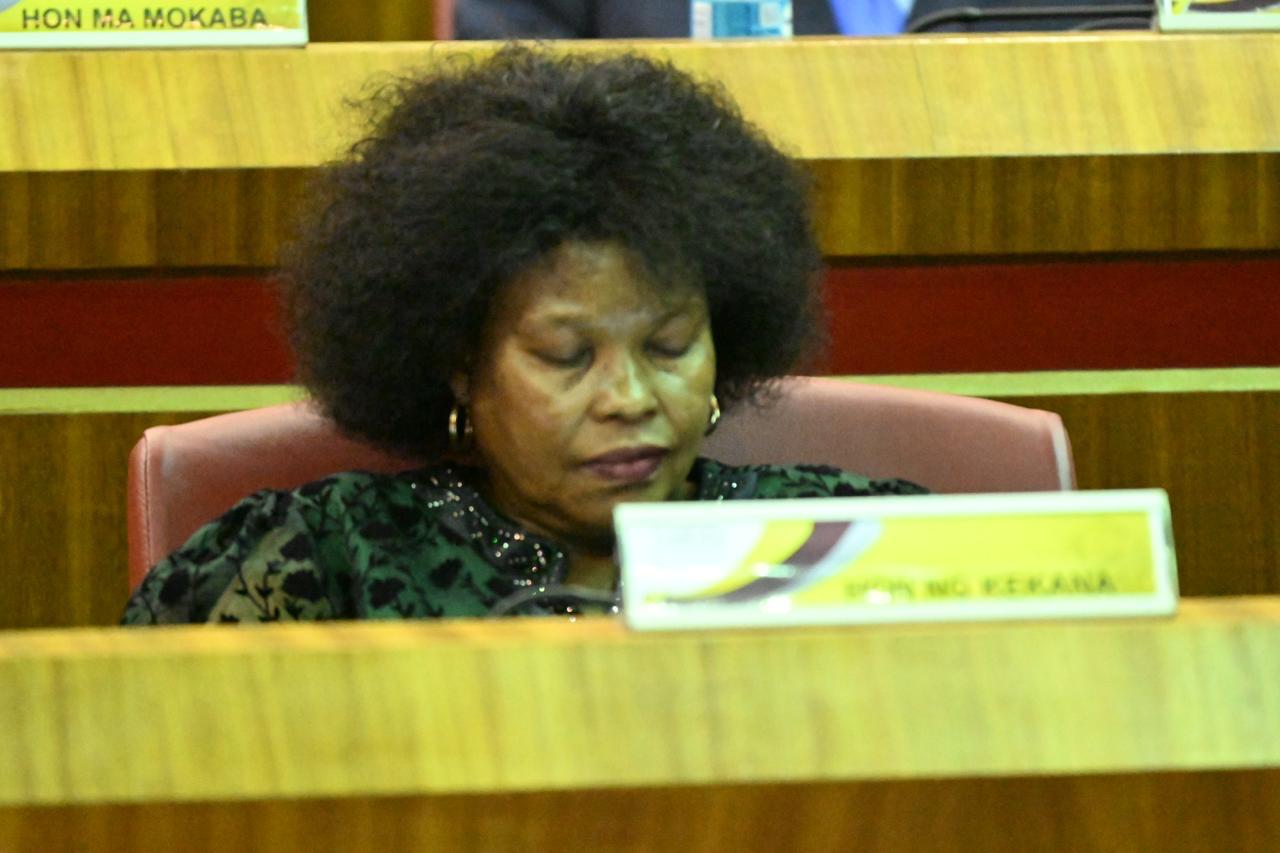 WhatsApp Image 2026-03-12 at 2.03.03 PM