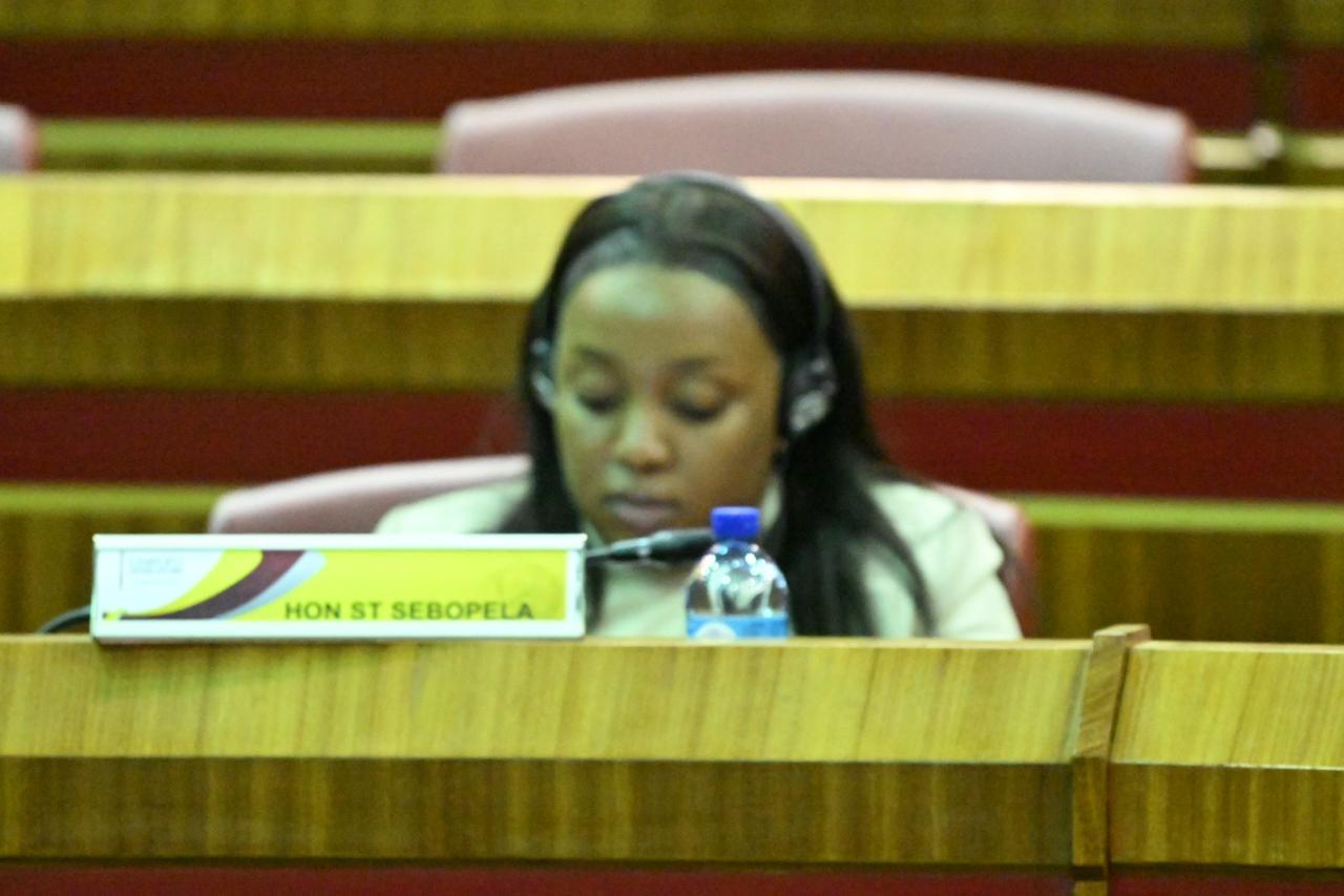 WhatsApp Image 2026-03-12 at 2.03.04 PM (1)