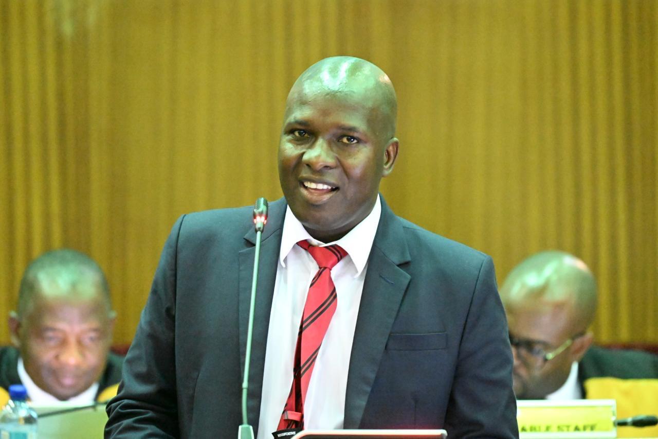 WhatsApp Image 2026-03-12 at 2.03.09 PM