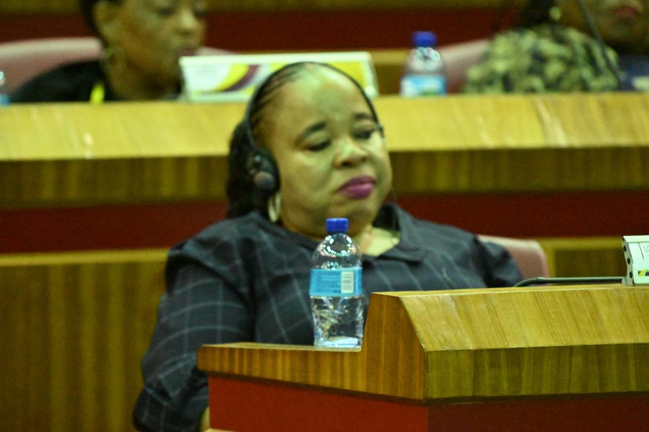 WhatsApp Image 2026-03-12 at 2.03.10 PM