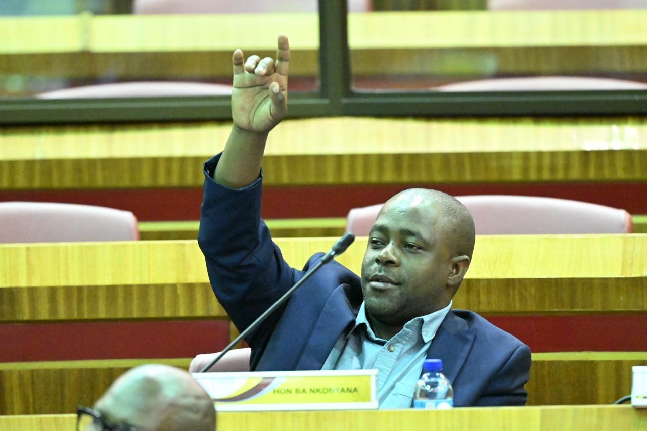 WhatsApp Image 2026-03-12 at 2.03.11 PM (2)