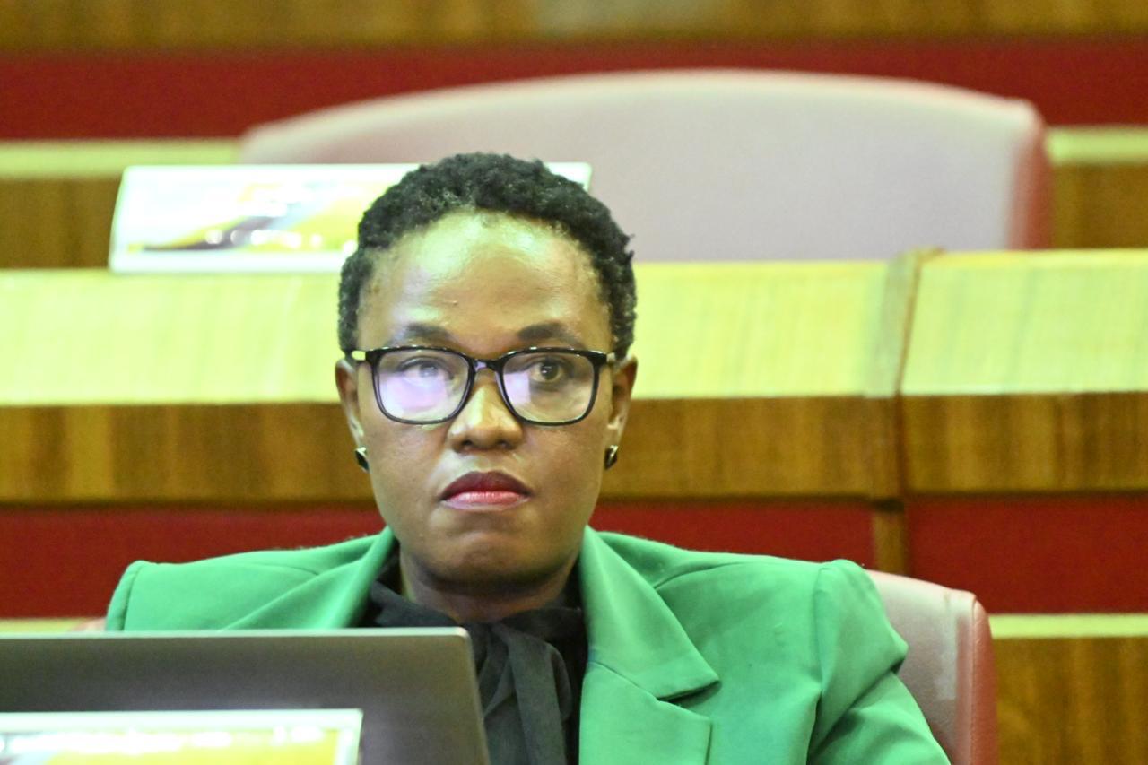 WhatsApp Image 2026-03-12 at 3.40.15 PM (1)