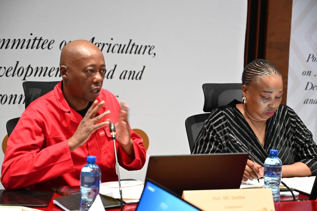 WhatsApp Image 2026-03-17 at 8.12.45 PM (19)