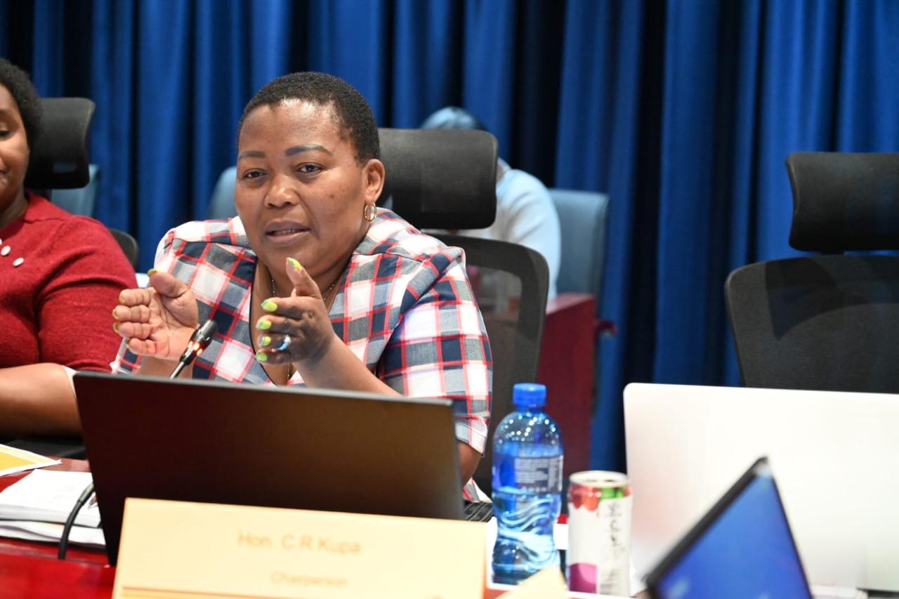 WhatsApp Image 2026-03-17 at 8.12.45 PM (7)