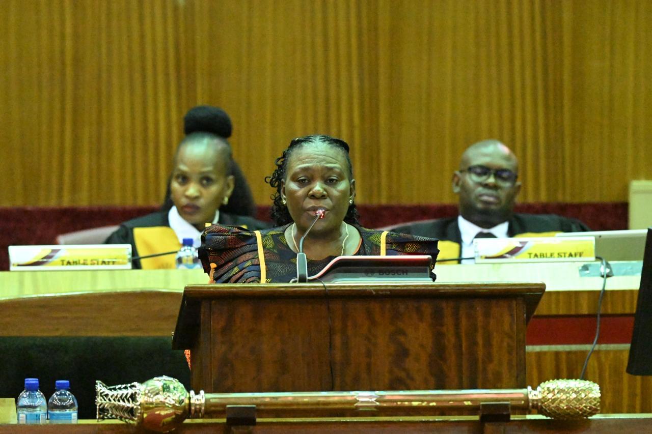 WhatsApp Image 2026-03-19 at 5.41.09 PM (1)