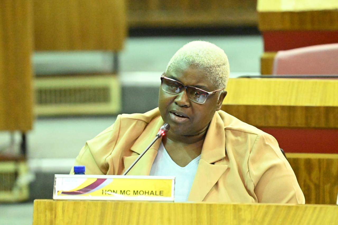 WhatsApp Image 2026-03-19 at 5.41.11 PM (1)